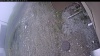 Web Cam Image - Wed, 05/13/2026 12:34pm PDT