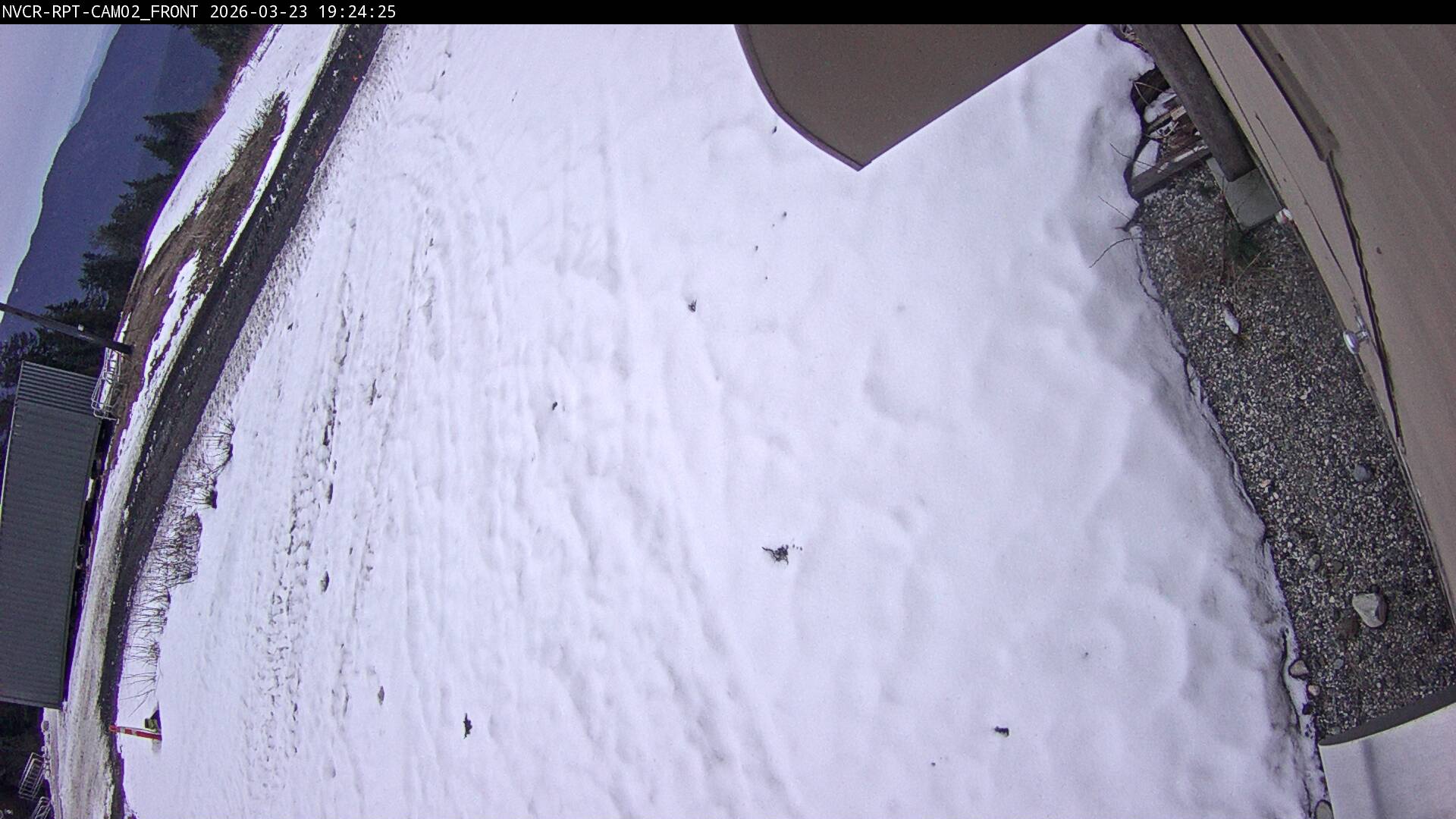 Web Cam History Image - 82