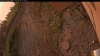Web Cam Image - Mon, 09/01/2025 11:49pm PDT