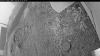 Web Cam Image - Mon, 09/15/2025 5:34am PDT