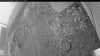 Web Cam Image - Mon, 09/15/2025 5:29am PDT