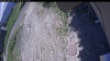 Web Cam Image - Tue, 06/16/2026 11:49am PDT