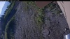 Web Cam Image - Tue, 07/07/2026 5:54am PDT