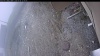 Web Cam Image - Wed, 05/06/2026 11:34am PDT