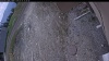 Web Cam Image - Sun, 05/10/2026 12:24pm PDT