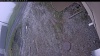 Web Cam Image - Fri, 05/15/2026 10:39am PDT