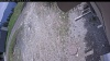 Web Cam Image - Thu, 05/21/2026 11:44am PDT