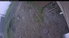Web Cam Image - Fri, 05/29/2026 8:34am PDT