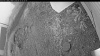 Web Cam Image - Mon, 09/15/2025 5:19am PDT