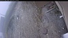 Web Cam Image - Wed, 05/06/2026 11:29am PDT