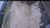 Web Cam Image - Thu, 05/21/2026 11:39am PDT