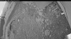 Web Cam Image - Sat, 07/04/2026 3:24am PDT