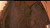 Web Cam Image - Mon, 09/01/2025 11:29pm PDT