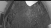 Web Cam Image - Mon, 09/15/2025 5:14am PDT