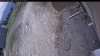 Web Cam Image - Sun, 05/10/2026 12:14pm PDT