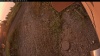 Web Cam Image - Mon, 09/01/2025 11:19pm PDT
