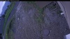 Web Cam Image - Fri, 06/05/2026 7:09pm PDT