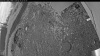 Web Cam Image - Wed, 06/10/2026 3:14am PDT