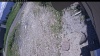 Web Cam Image - Tue, 06/16/2026 11:19am PDT