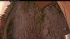 Web Cam Image - Mon, 09/01/2025 11:09pm PDT