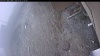 Web Cam Image - Wed, 05/06/2026 11:04am PDT