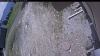 Web Cam Image - Thu, 05/21/2026 11:14am PDT