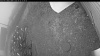 Web Cam Image - Tue, 10/21/2025 9:09pm PDT