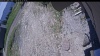 Web Cam Image - Tue, 06/02/2026 11:39am PDT