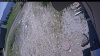 Web Cam Image - Sun, 05/31/2026 11:39am PDT