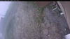 Web Cam Image - Thu, 06/04/2026 5:24am PDT