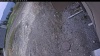 Web Cam Image - Sat, 05/09/2026 1:29pm PDT