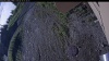 Web Cam Image - Wed, 06/10/2026 5:34am PDT