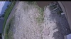 Web Cam Image - Wed, 06/17/2026 11:34am PDT