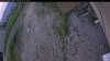 Web Cam Image - Tue, 06/23/2026 6:04pm PDT
