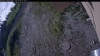 Web Cam Image - Wed, 07/08/2026 6:24am PDT