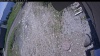Web Cam Image - Sun, 05/31/2026 11:29am PDT