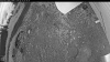 Web Cam Image - Wed, 06/10/2026 2:54am PDT