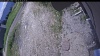 Web Cam Image - Tue, 06/16/2026 10:59am PDT