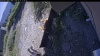 Web Cam Image - Mon, 08/31/2026 1:09pm PDT