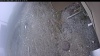 Web Cam Image - Wed, 05/06/2026 10:44am PDT