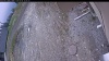 Web Cam Image - Fri, 05/08/2026 11:59am PDT
