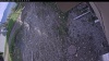 Web Cam Image - Thu, 05/28/2026 6:39pm PDT