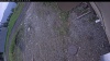 Web Cam Image - Mon, 05/25/2026 11:14am PDT