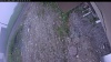 Web Cam Image - Thu, 06/04/2026 5:04am PDT