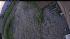 Web Cam Image - Tue, 06/23/2026 5:49pm PDT