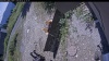 Web Cam Image - Mon, 08/03/2026 11:44am PDT