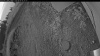 Web Cam Image - Mon, 09/01/2025 10:39pm PDT