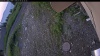 Web Cam Image - Mon, 07/06/2026 4:14am PDT
