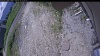 Web Cam Image - Tue, 06/16/2026 10:39am PDT