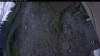Web Cam Image - Wed, 07/08/2026 5:59am PDT